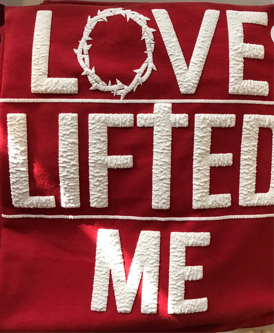 Love Lifted Me
